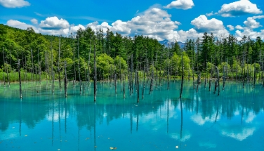 Biei Blue Pond
