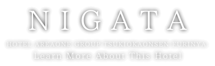 IZUMO HOTEL AREAONE GROUP-TSUKIOKAONSEN FURINYA