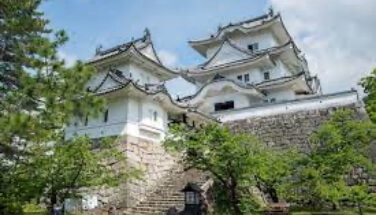 Iga Ueno Castle