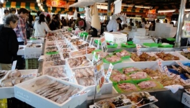 Minato no Marche Pia Bandai