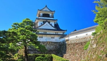 Kochi Castle
