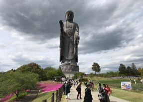 The Ushiku Daibutsu