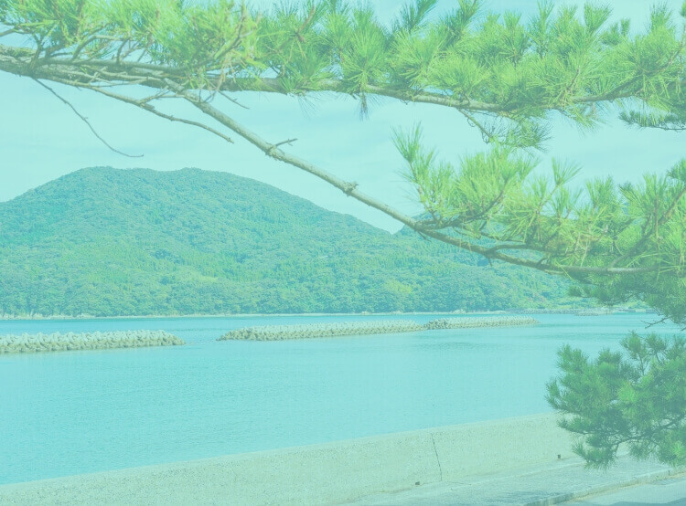 アクティビティ