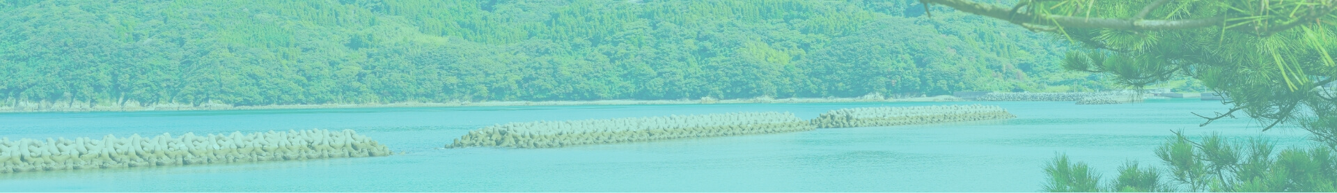 アクティビティ