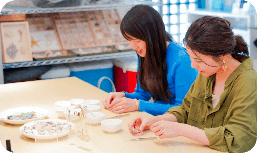 シーグラスや貝