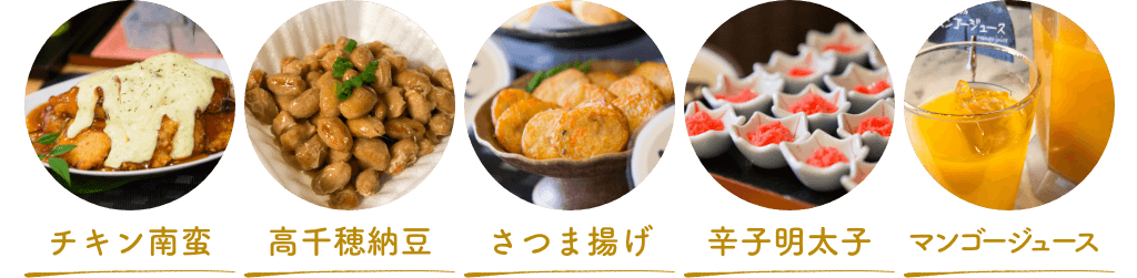 他にも宮崎・九州の郷土料理をご用意しております