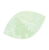 葉