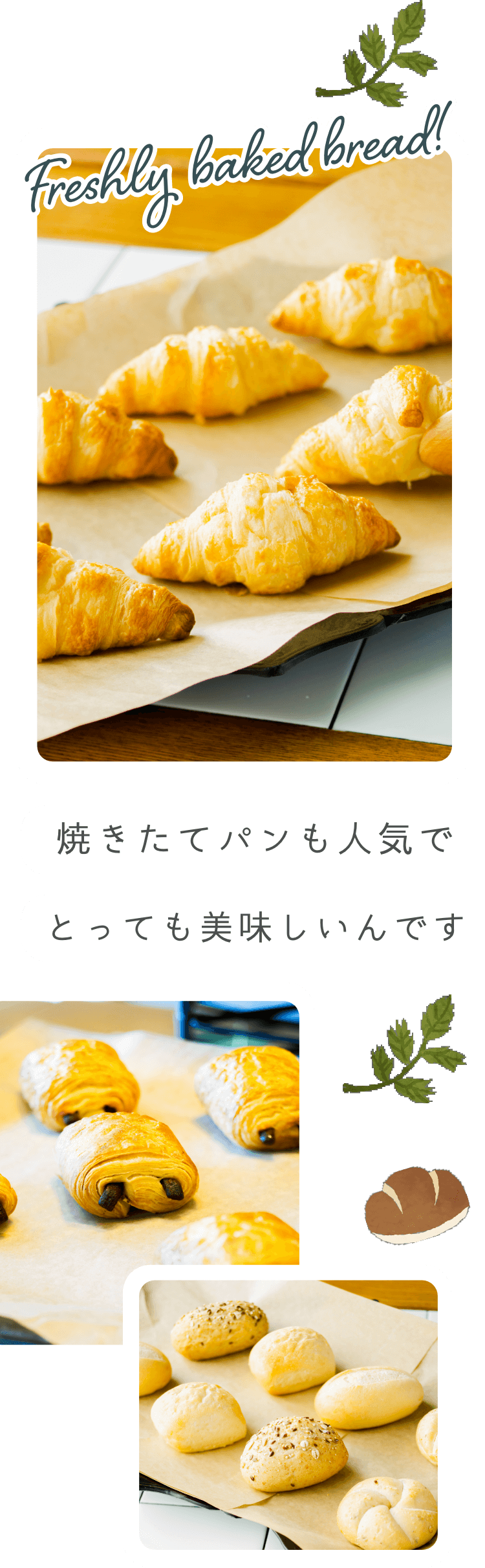 焼きたてパン